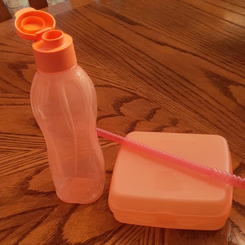 Tupperware Sandwich Keeper Lunch Set